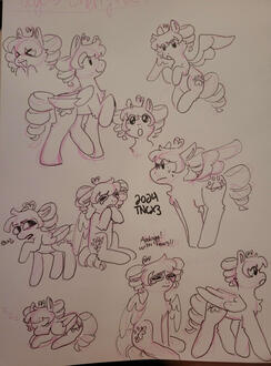 Traditional pony page